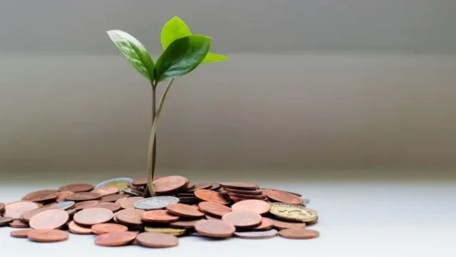 VGIA11: Fiagro paga dividendos de 1,30% ao mês e lucra R$ 9,3 milhões; veja detalhes