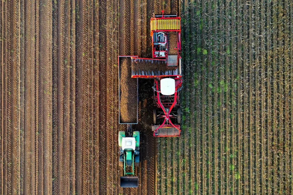 Petrobras retoma fábrica de fertilizantes; veja os reflexos para SNAG11 e agronegócio