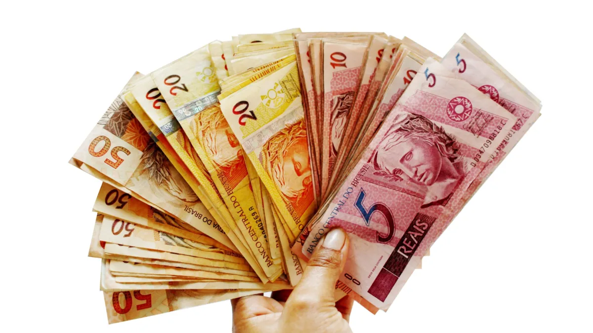 Dividendos do SNID11. Foto: Pixabay