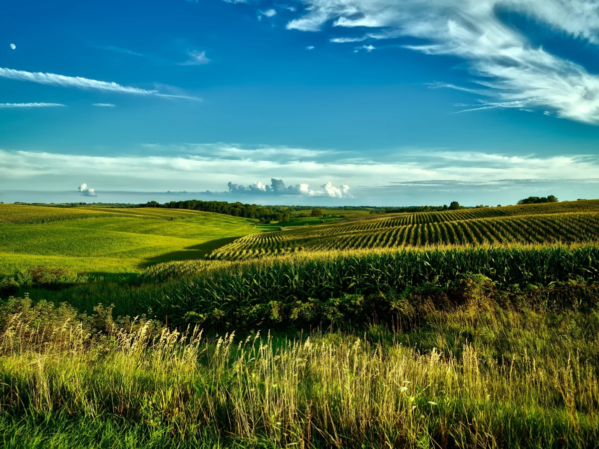 SNFZ11 registra R$ 6,9 milhões de liquidez em meio ao melhor abril do agro desde 1997