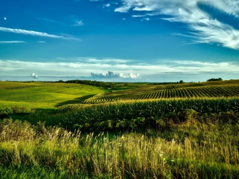 SNFZ11 registra R$ 6,9 milhões de liquidez em meio ao melhor abril do agro desde 1997
