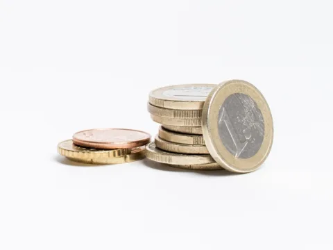 SNFZ11 divulga dividendos com retorno mensal de 1,10%; confira detalhes