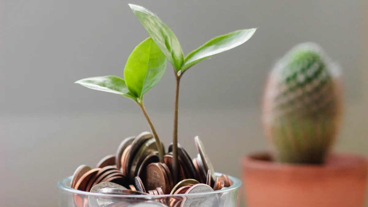 VGIR11 divulga novos dividendos para setembro. Foto: Unsplash