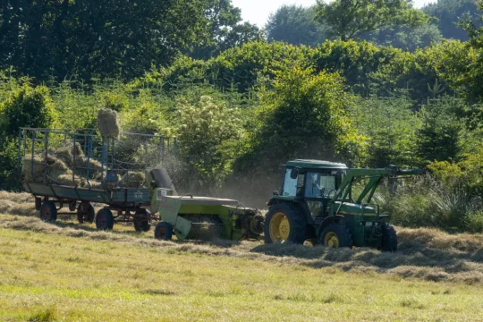 Inadimplência leva RZTR11 a encerrar contrato de fazenda em Goiás; veja os impactos