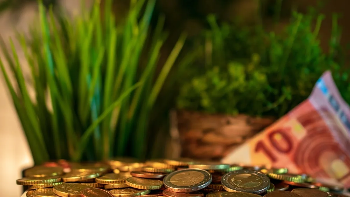 Fiagro RZAG11 paga dividendo recorde e lista de fundos com rendimentos de até 2,4% é divulgada. Foto: Pixabay