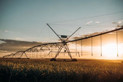 Irrigação é investimento do SNFZ11. Foto: Pexels.