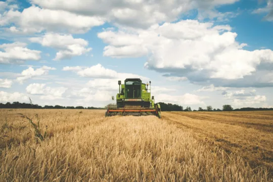 Produtores perdem R$ 88 bilhões com falta de silos; SNAG11 mira investir em armazenagem