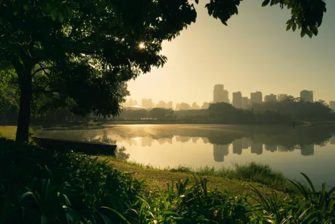 XPLG11, GSFI11, BIDB11 e ZAGH11 são destaques do Bom Dia FIIs (22/4)