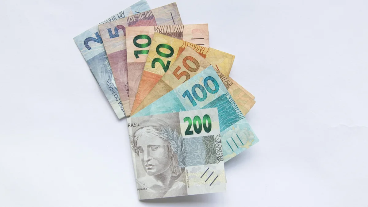 Dividendos do SNCI11 são divulgados. Foto: Pexels