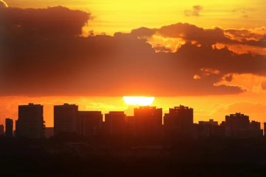ALZR11, XPML11 e SNEL11 são destaques do Bom Dia FIIs (19/3)