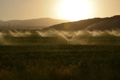 Mato Grosso atinge 75% da meta sustentável no agro; estado é pilar da expansão do SNFZ11