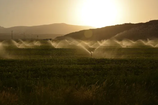 Mato Grosso atinge 75% da meta sustentável no agro; estado é pilar da expansão do SNFZ11