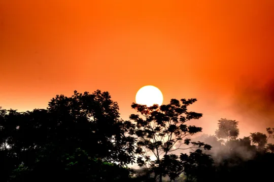 HGLG11, SNEL11, ALZC11 e EXES11 são destaques do Bom Dia FIIs (26/10)