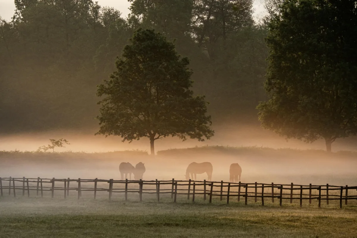 LVBI11, VRTM11, OIAG11 e SNAG11 são destaques do Bom Dia FIIs (30/4)