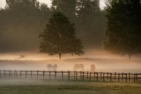 LVBI11, VRTM11, OIAG11 e SNAG11 são destaques do Bom Dia FIIs (30/4)