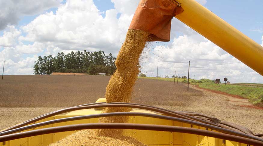 SNAG11 amplia liquidez e movimenta debate sobre integração entre agro e mercado
