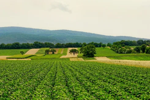 RZTR11 entrega yield de 1,10%, reavalia imóveis e eleva patrimônio