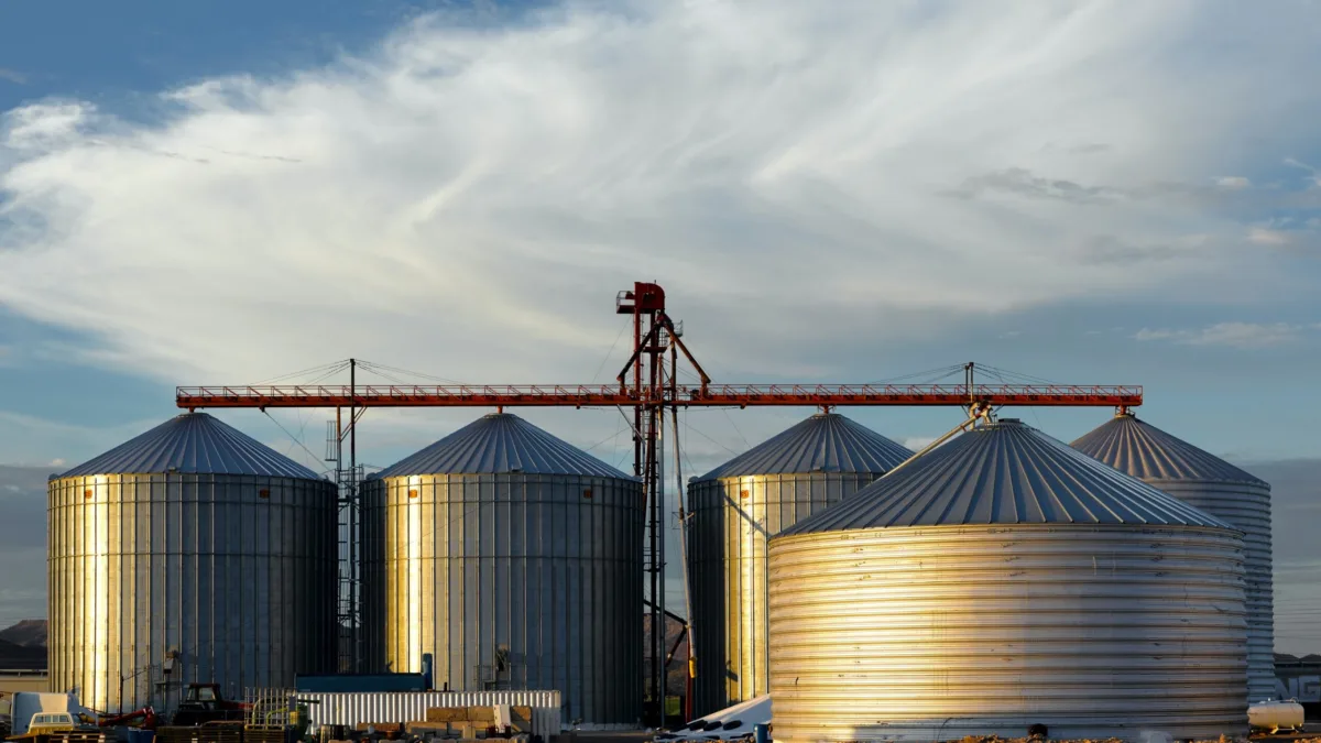 Falta de silos custa bilhões ao sojicultor — e já virou tese de investimento para Fiagros como SNAG11. Foto Unsplash