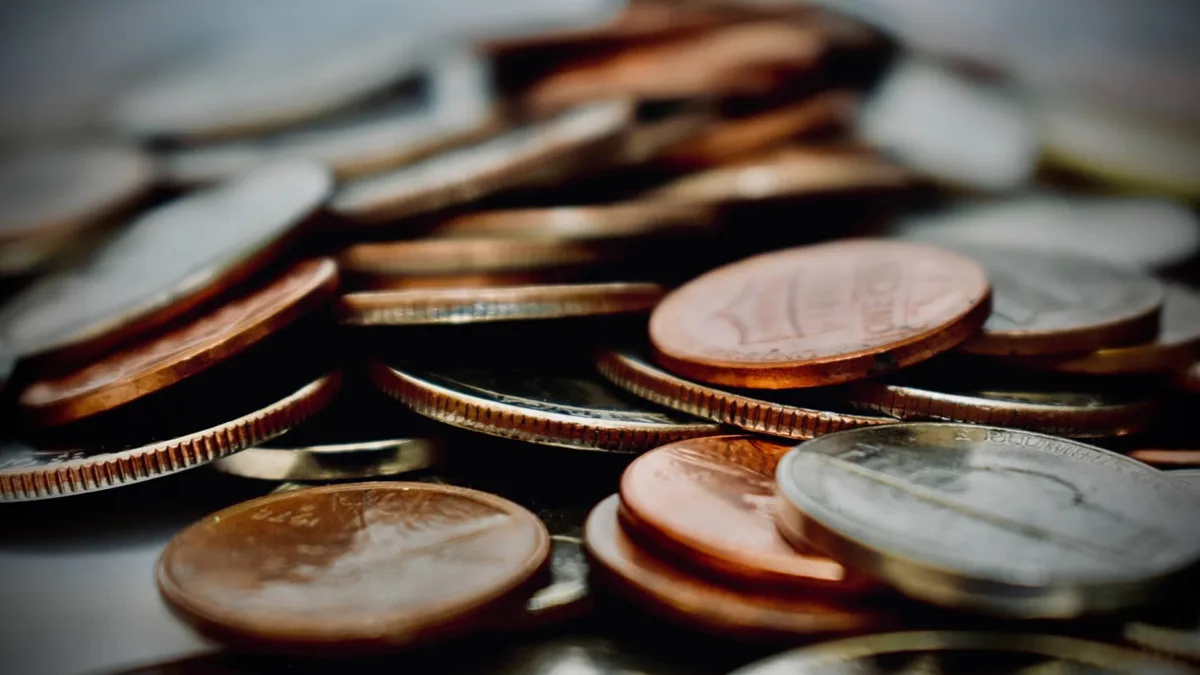 SNFZ11: Fiagro paga dividendos após anúncio de resultado recorde. Foto: Unsplash